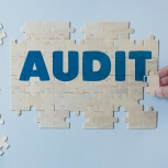 audit img